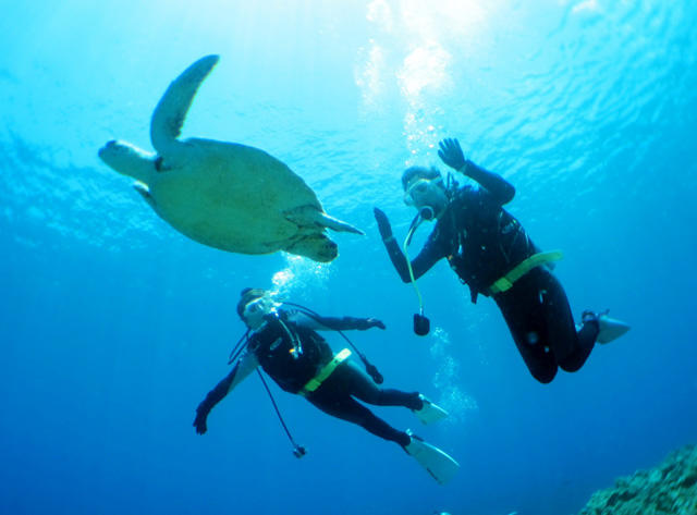 Kerama islands snorkeling