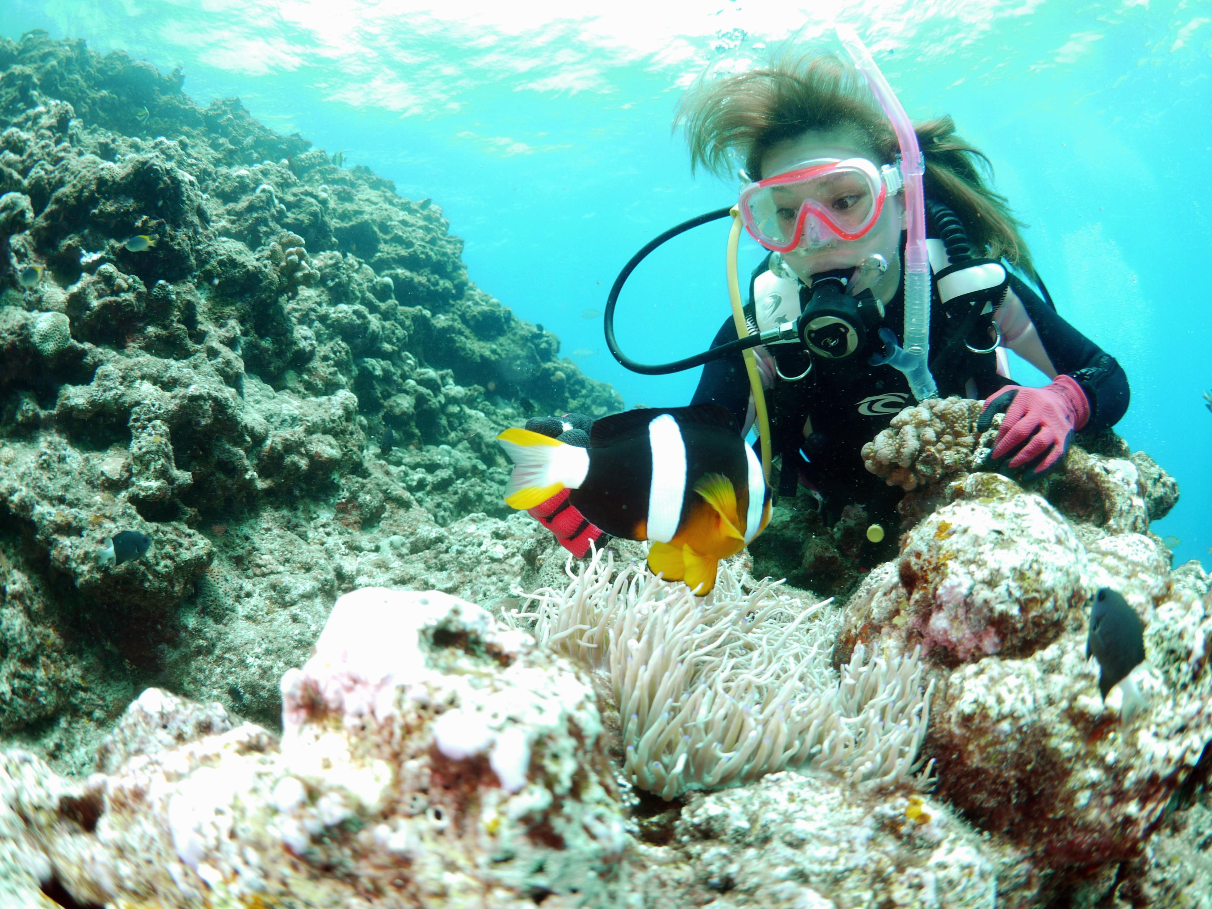 Beach Experience Diving