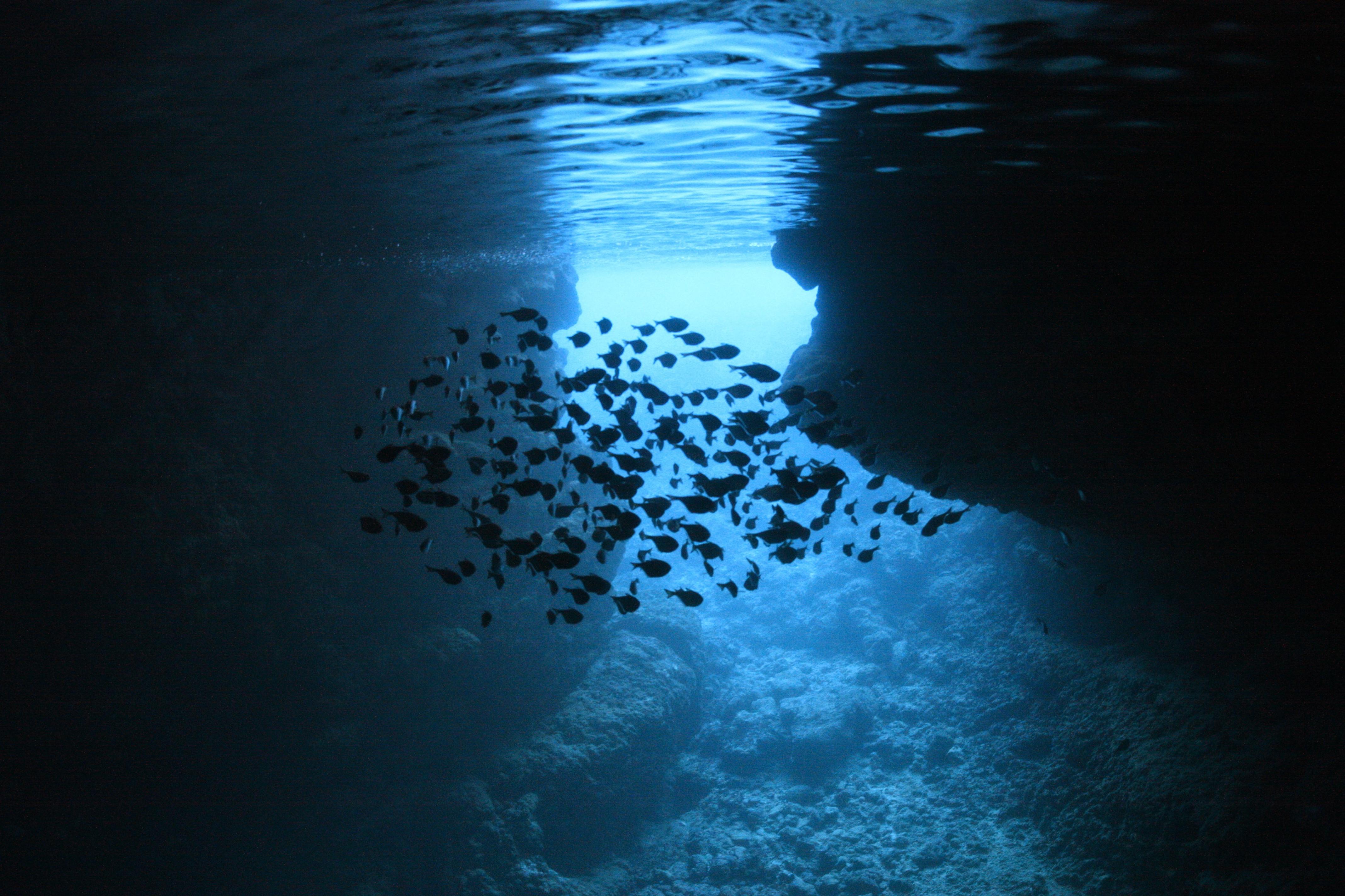 Blue cave boat experience dive